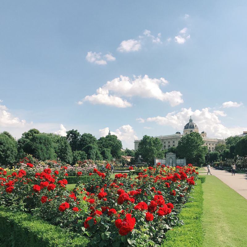 Vienna Garden in Summer