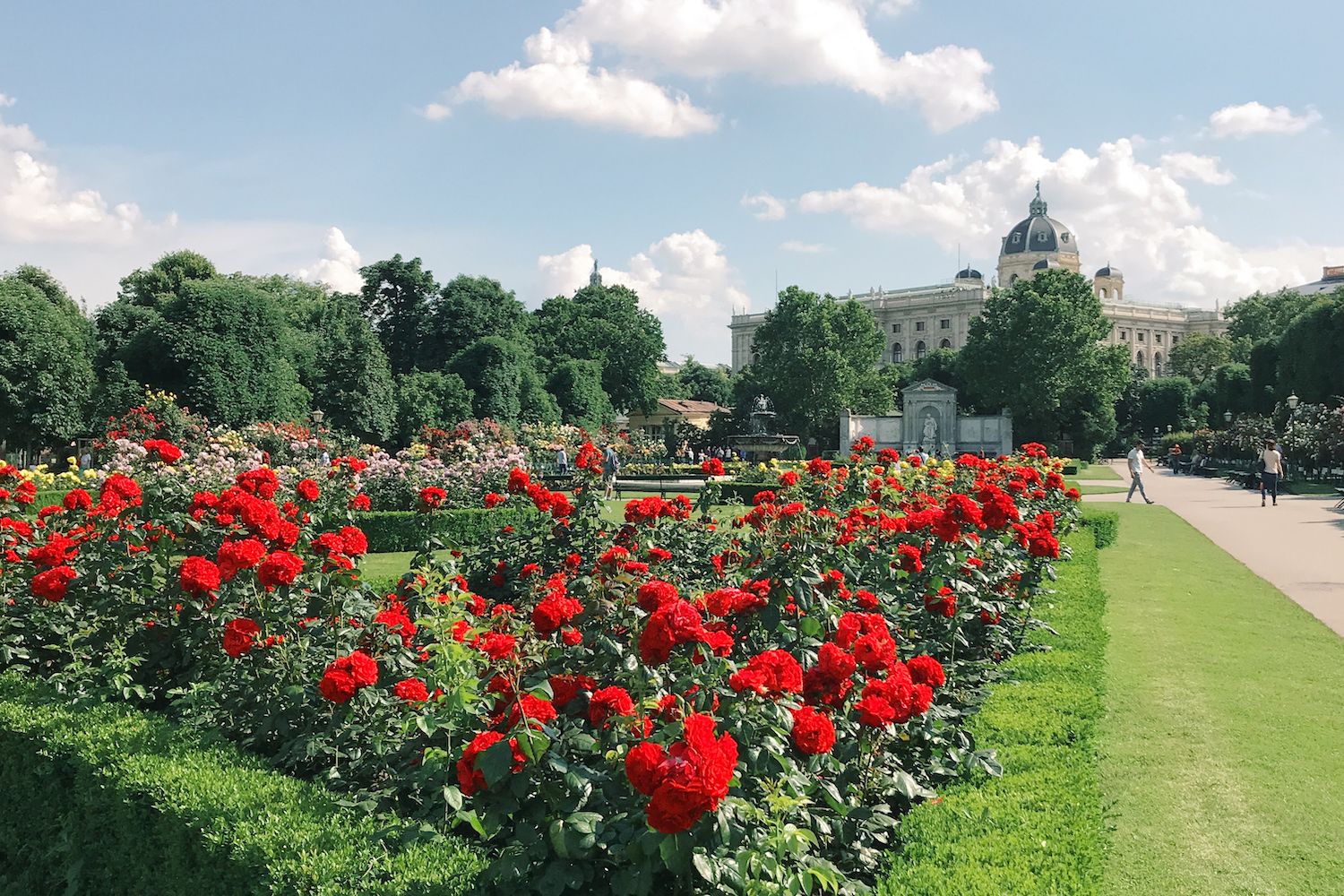 Vienna Garden in Summer