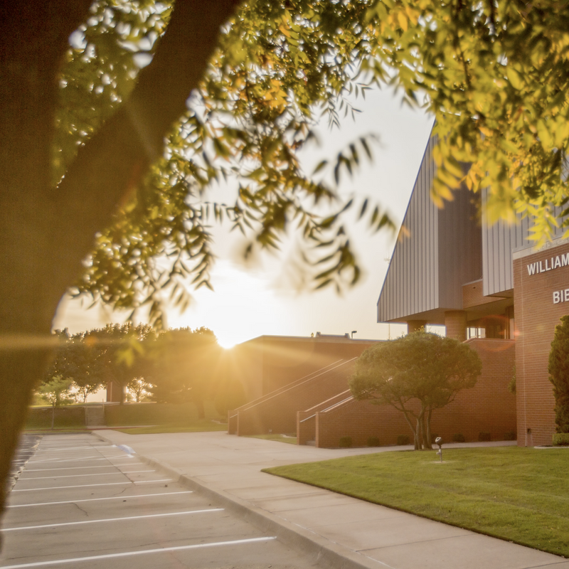 Bible Building Timelapse