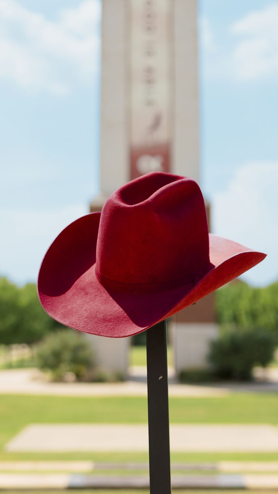 Cowboy hat
