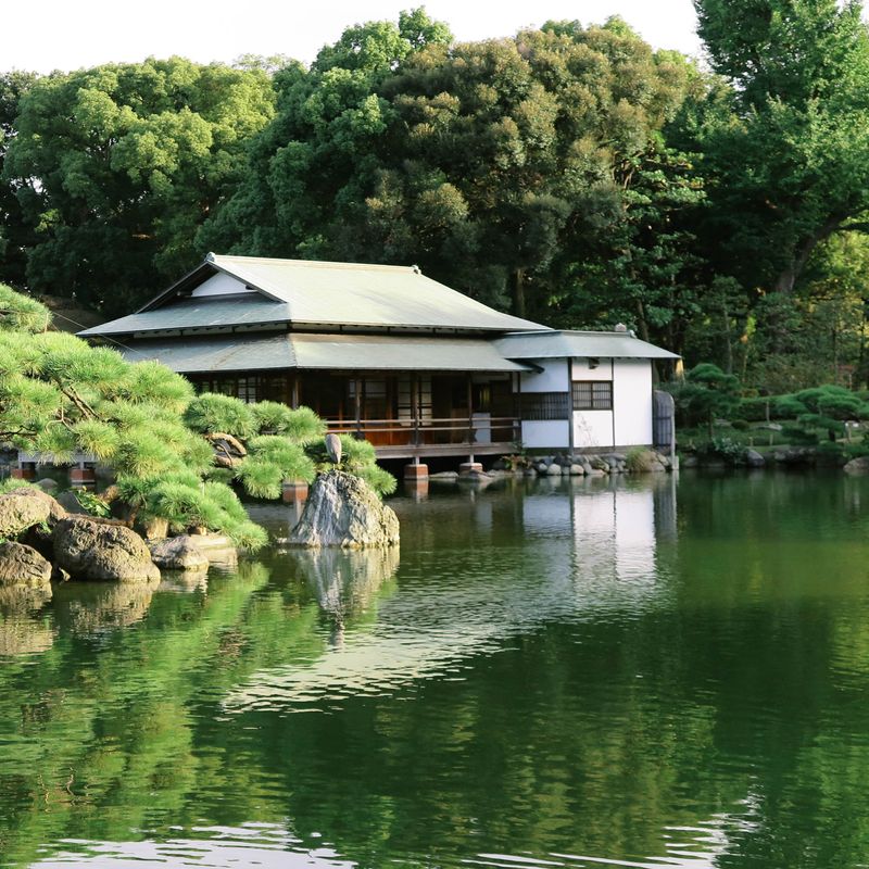 Japan Study Abroad 34