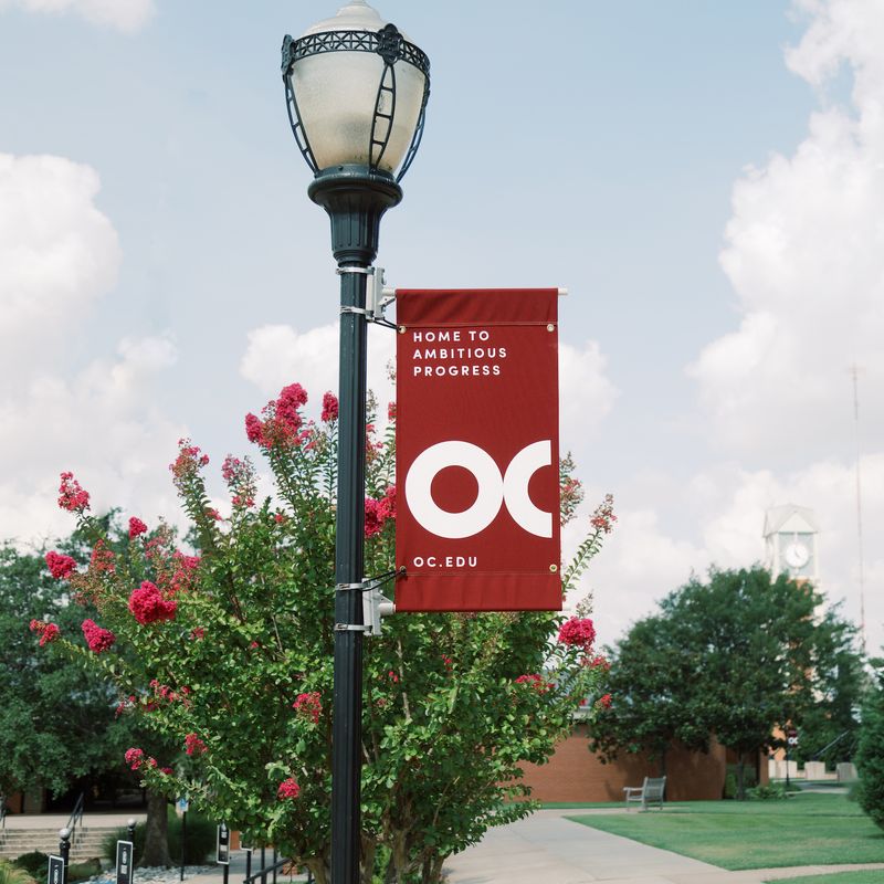 Campus Flag with clocktower