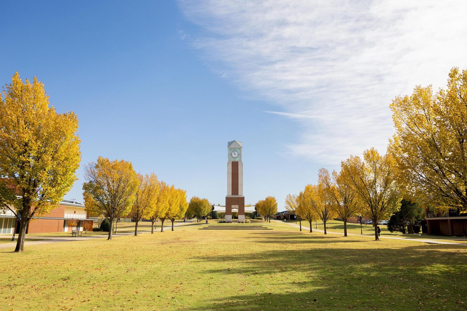 Campus in fall 7