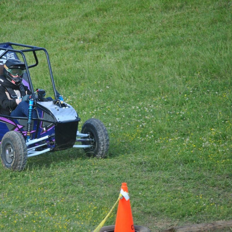 Purple Baja Car