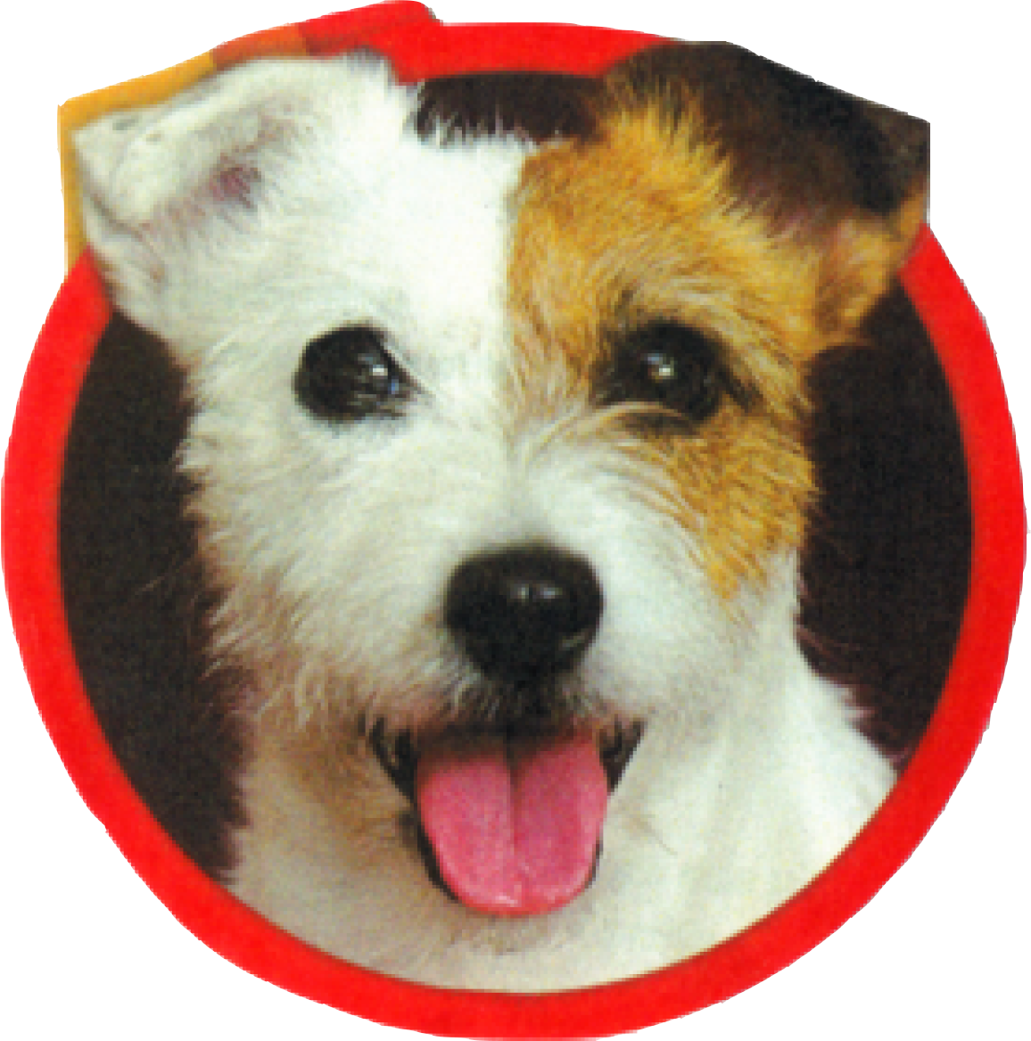 Happy Dog Farm Foundation logo
